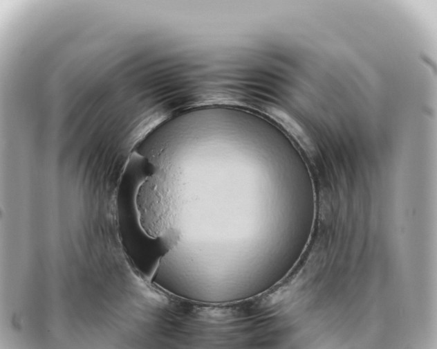 X0000095891241200801251155