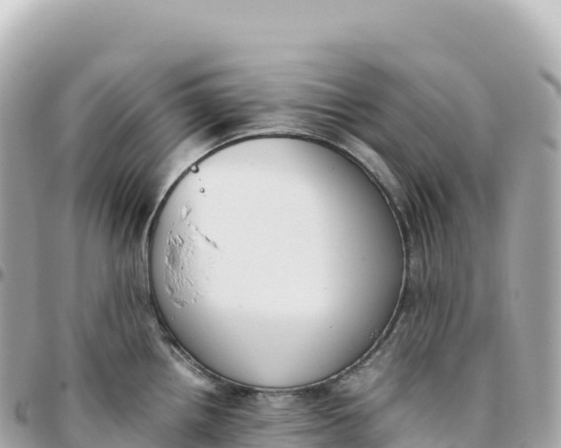 X0000095891242200801251155
