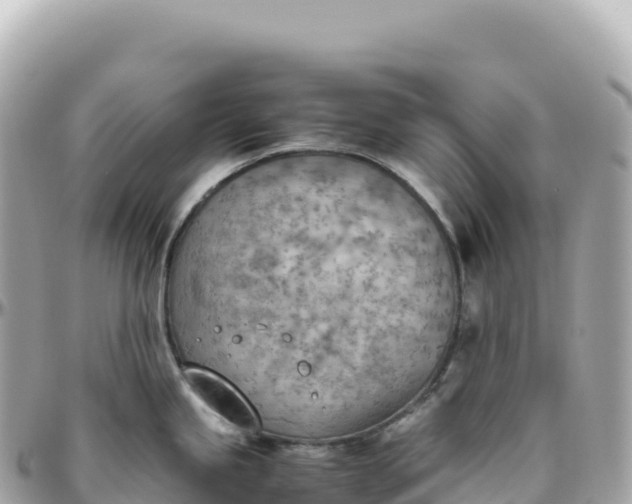 X0000095891245200801251155