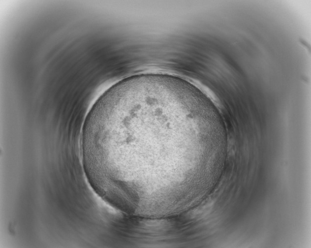 X0000095891247200801251155