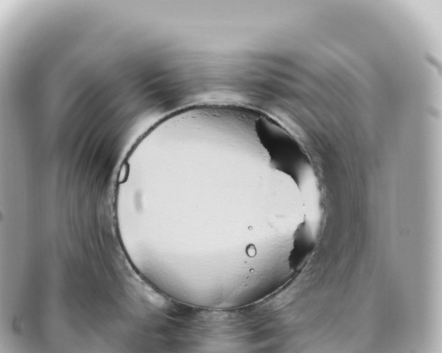 X0000095891248200801251155