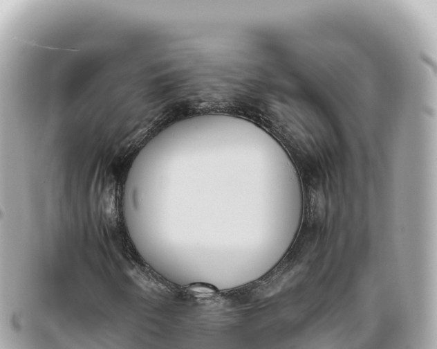 X0000095891250200801251155