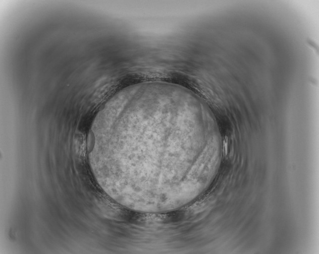 X0000095891251200801251155