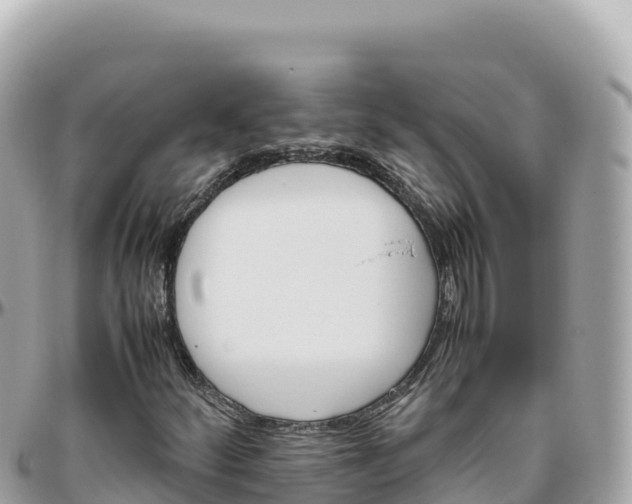 X0000095891252200801251155