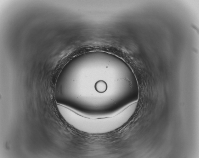 X0000095891253200801251154