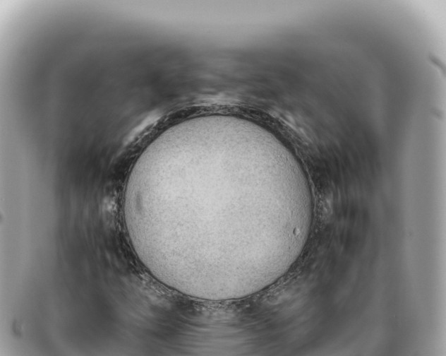 X0000095891254200801251154