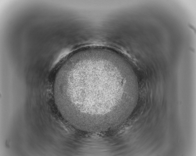 X0000095891255200801251154