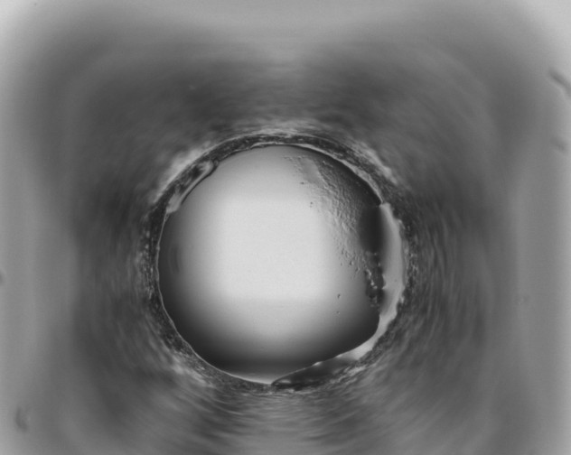 X0000095891256200801251154