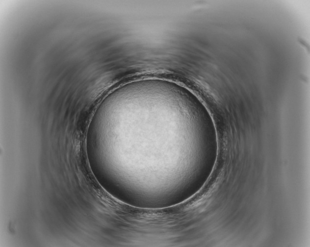 X0000095891257200801251154