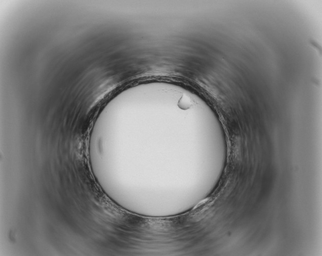 X0000095891258200801251154