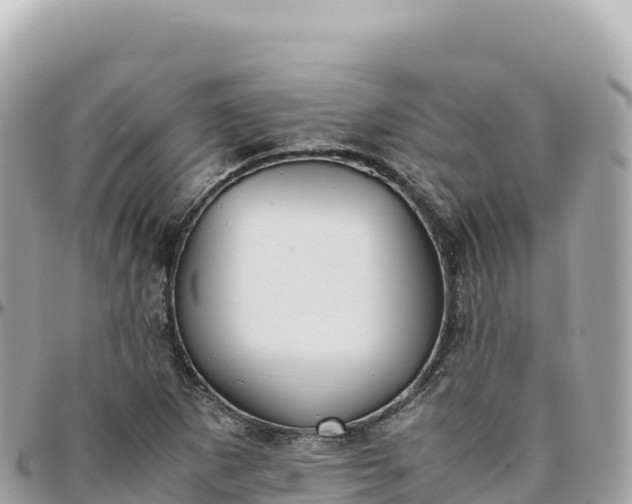 X0000095891265200801251154