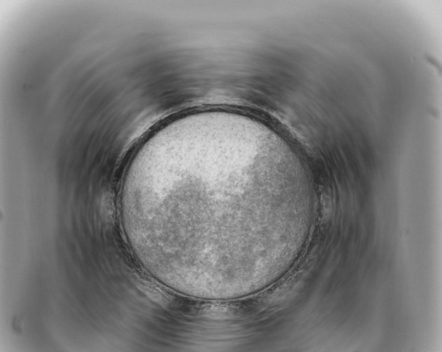 X0000095891266200801251154