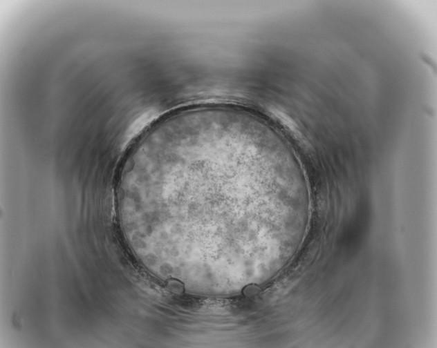 X0000095891267200801251154