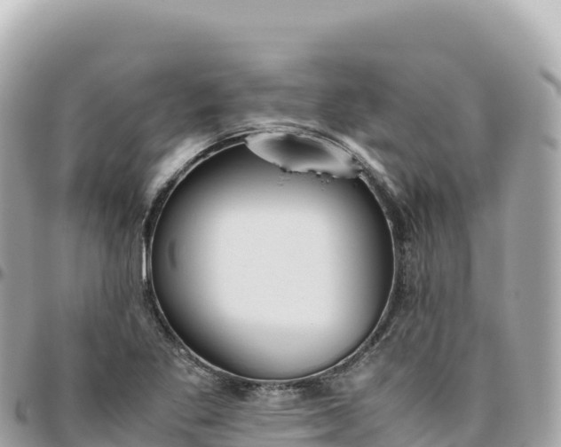 X0000095891269200801251154