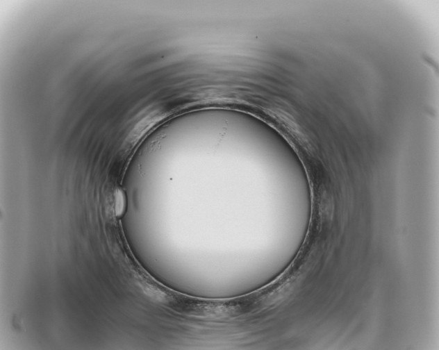 X0000095891273200801251154