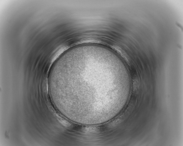 X0000095891274200801251154