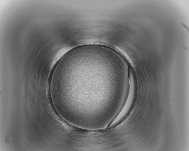 X0000095891277200801251154
