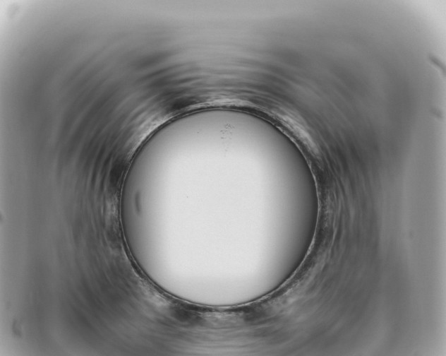 X0000095891281200801251154