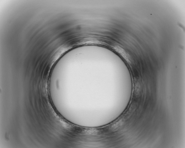 X0000095891282200801251154