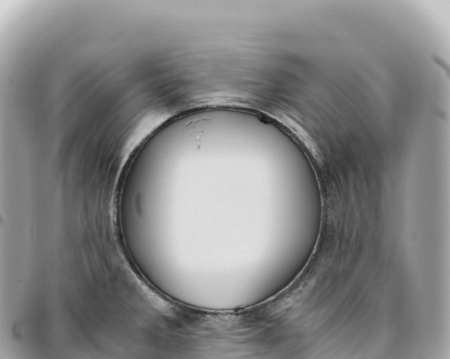 X0000095891285200801251154
