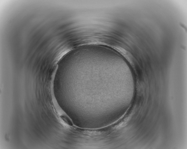 X0000095891289200801251154