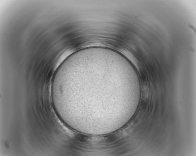 X0000095891290200801251154
