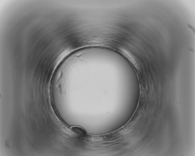 X0000095891291200801251154