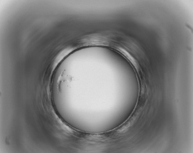 X0000095891293200801251154