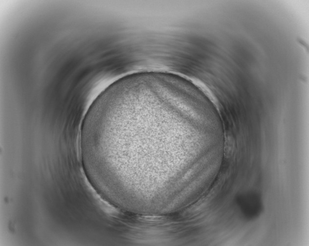 X0000095891295200801251154