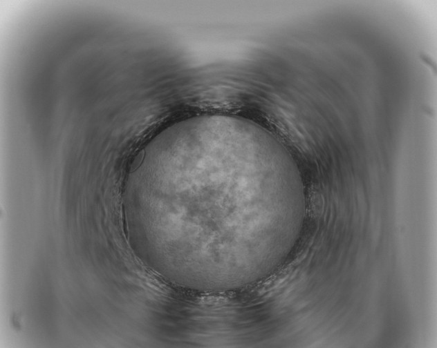 X0000095891297200801251153