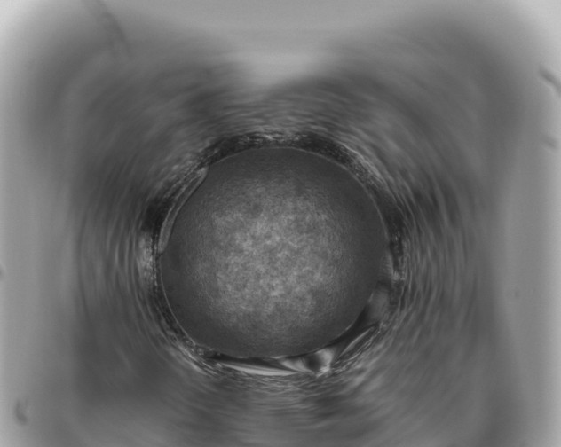 X0000095891298200801251153
