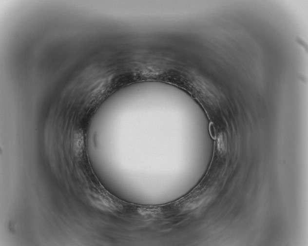 X0000095891299200801251153
