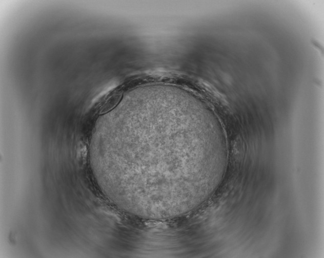 X0000095891302200801251153