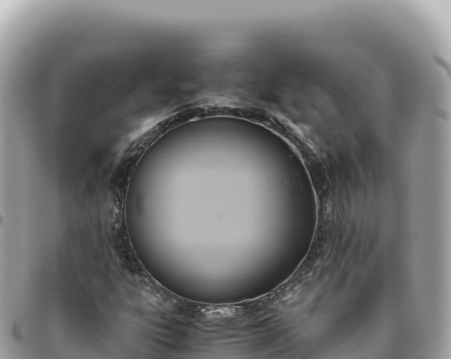X0000095891303200801251153