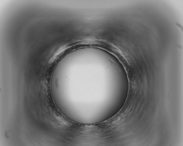 X0000095891304200801251153