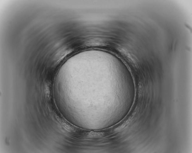 X0000095891305200801251153