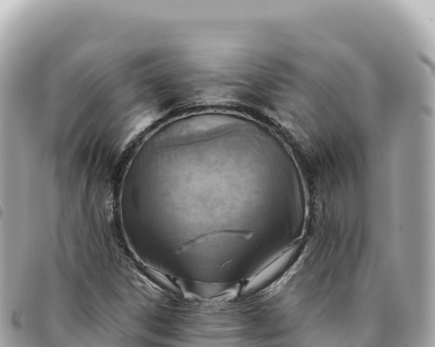 X0000095891306200801251153