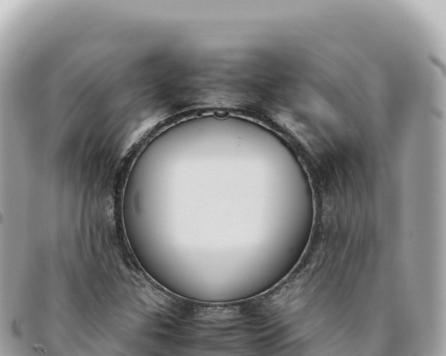 X0000095891307200801251153