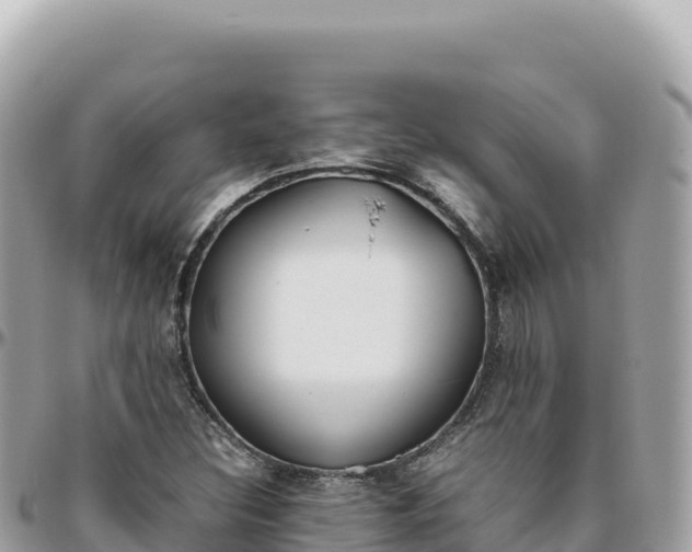 X0000095891308200801251153