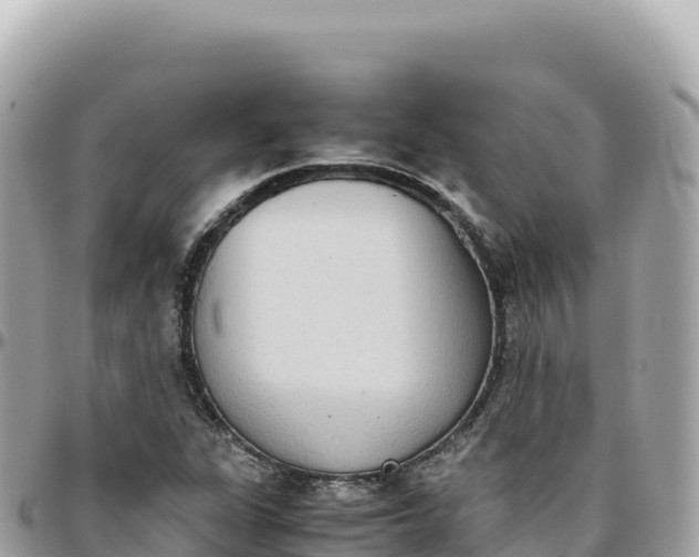 X0000095891311200801251153