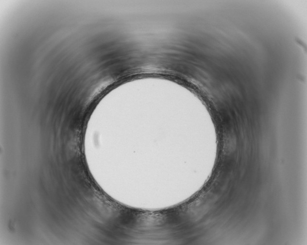 X0000095891314200801251153