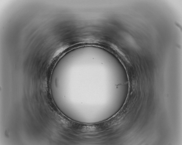X0000095891315200801251154