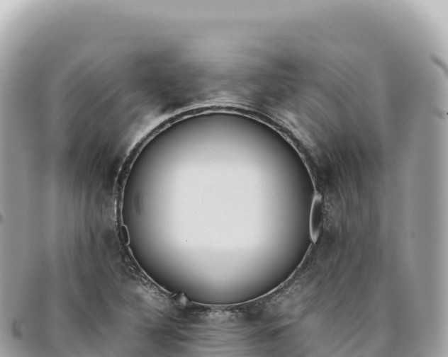 X0000095891316200801251154