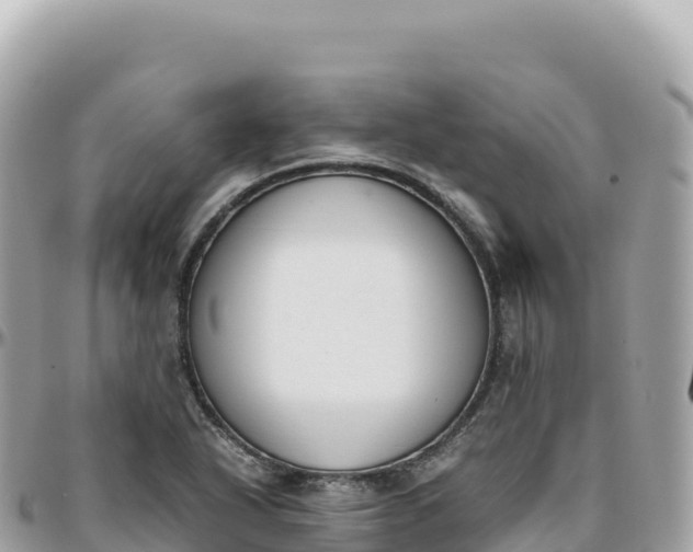 X0000095891318200801251154