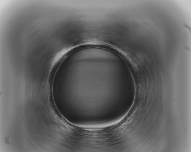 X0000095891319200801251154
