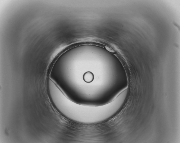 X0000095891320200801251154