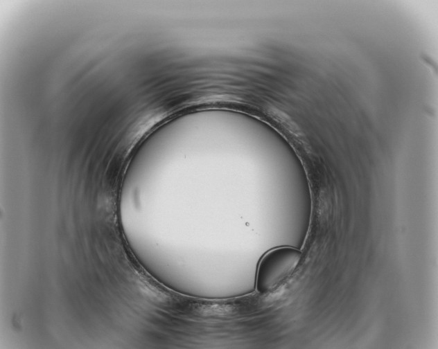 X0000095891321200801251154