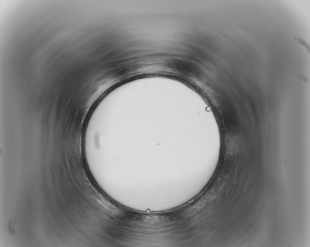 X0000095891322200801251154