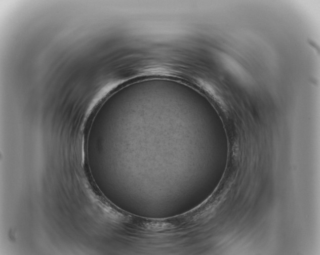 X0000095891323200801251154