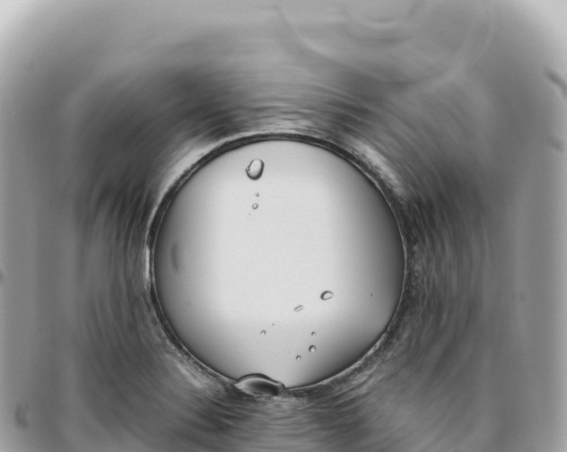 X0000095891324200801251154